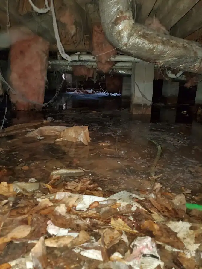 Crawl space flood assessment for Leak Detection & Repair in Shelby