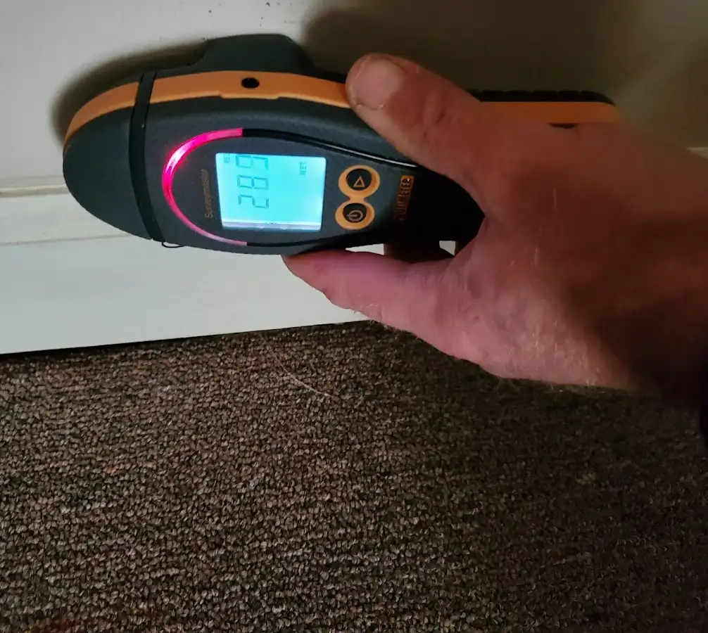 Moisture detection at baseboard during Mold Inspection & Testing in Shelby