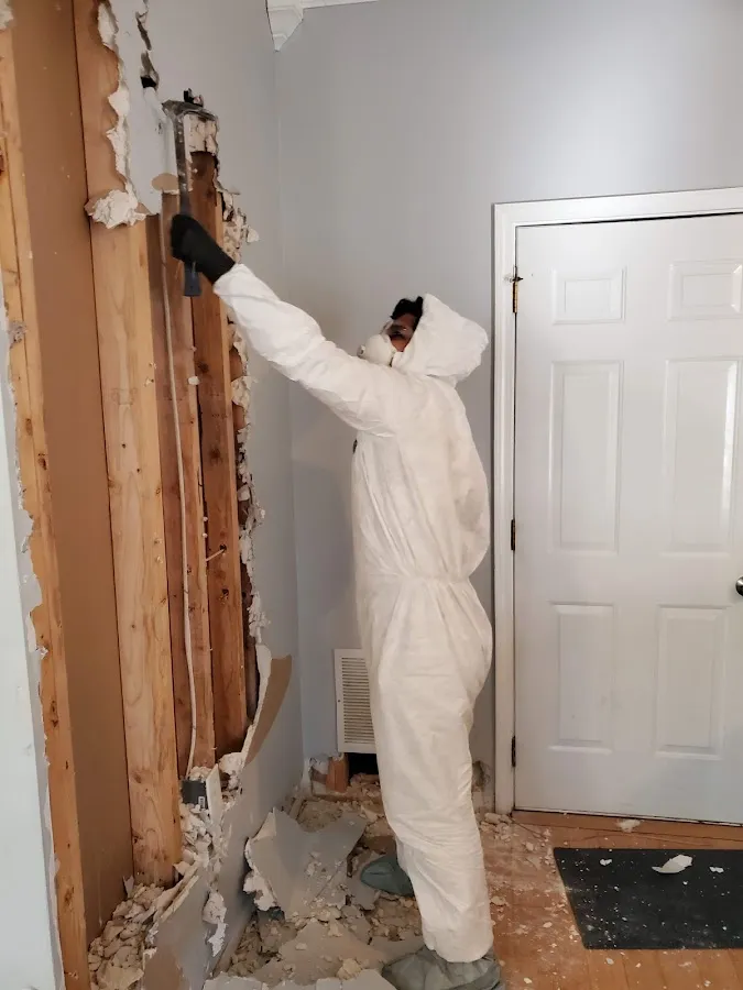 Water Damage Assessment in Shelby, OH